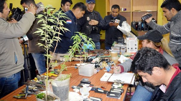 Ahora encuentran hasta plantas de marihuana en la cárcel de San Pedro - Edicion Impresa - ABC Color
