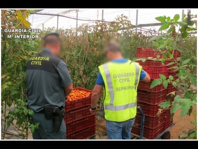 OPERATIVO OPSON VIII: INCAUTAN TONELADAS DE COMIDAS Y BEBIDAS VENCIDAS