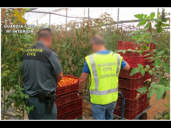 OPERATIVO OPSON VIII: INCAUTAN TONELADAS DE COMIDAS Y BEBIDAS VENCIDAS