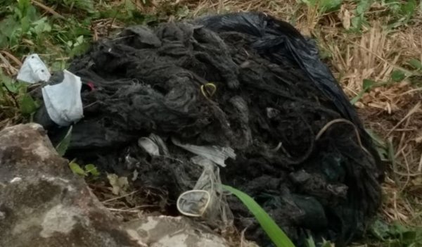 Asegurados de IPS tiran pañales por inodoros y colapsó el desagüe - Edicion Impresa - ABC Color