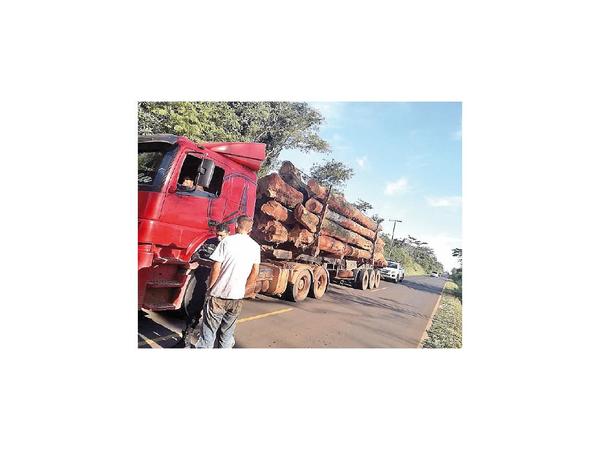 Fiscala investiga plan de manejo forestal