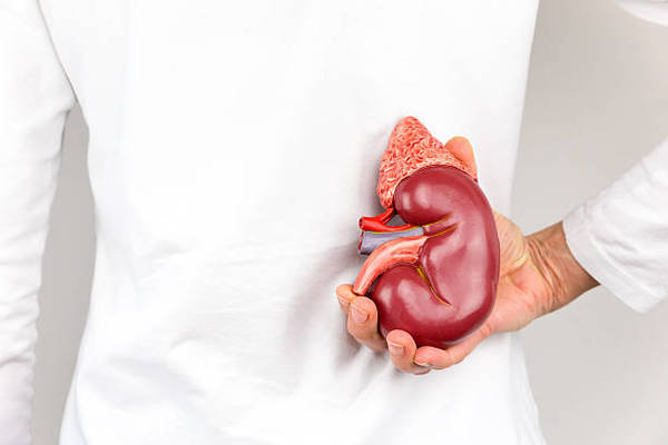 Síntomas del cáncer de riñón para detección temprana - ADN Paraguayo