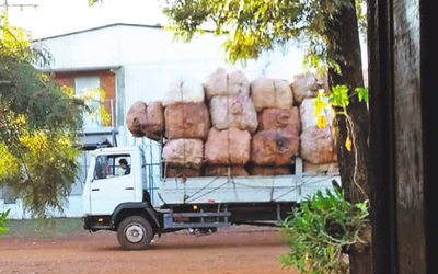 Una recicladora opera pese a estar clausurada | Diario Vanguardia 08