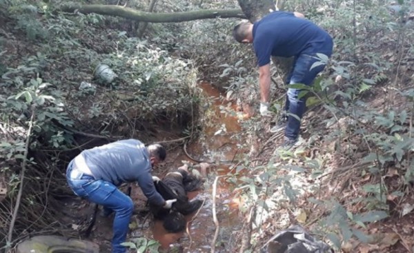 Hallan cadáver en parque del Área 1