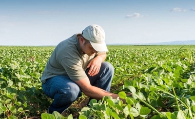 HOY / Vacancias laborales: buscan agrónomos e ingenieros civiles