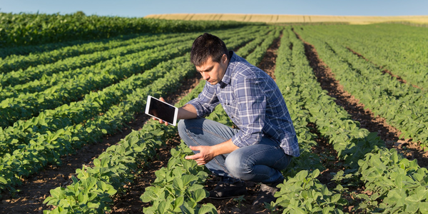 Vacancia para agrónomos e ingenieros civiles - ADN Paraguayo