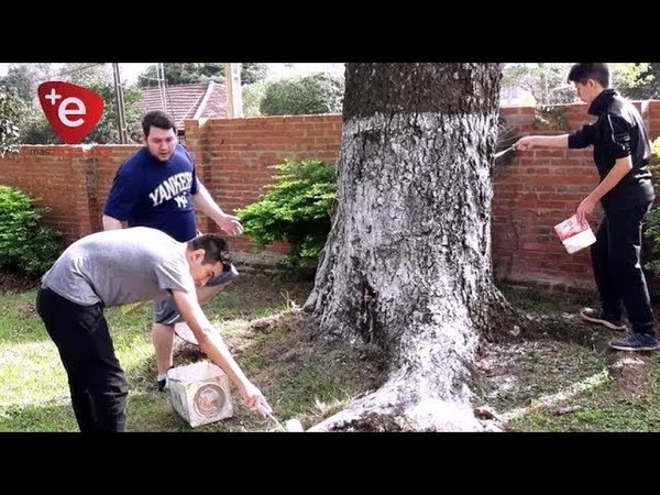 PINTAN PARQUE DEL HOSPITAL PEDIÁTRICO