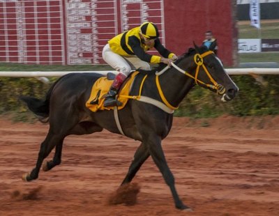 El premio “19 de junio” es atracción principal del turf