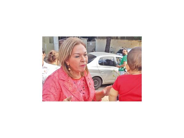Jueza ordenó construir una salomónica muralla en casa