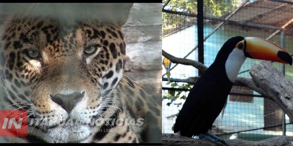 INVITAN A VISITAR EL MINI ZOOLÓGICO DE ENCARNACIÓN.