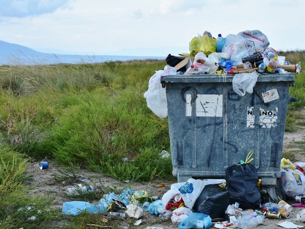 La ciencia pide "a gritos" revertir la crisis climática