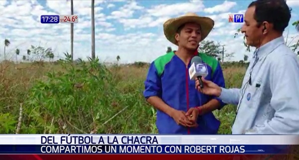 De dar la vuelta en Núñez a la chacra en Peguahomi | Noticias Paraguay