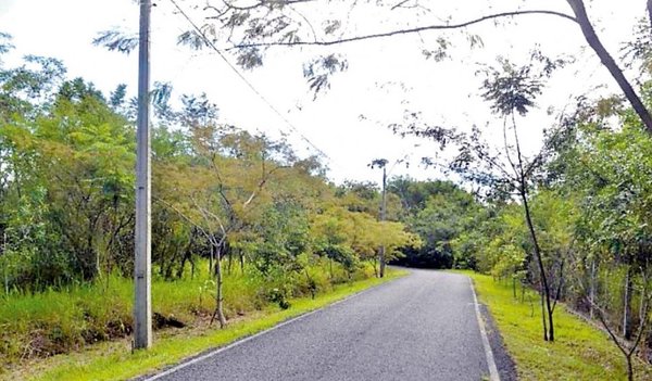 Piletas en Parque Guasu serán una “cloaca a cielo abierto”, advierten - Edicion Impresa - ABC Color
