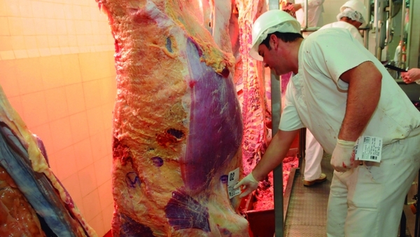 Diferencias entre la industria frigorífica y los productores alejaría la posibilidad de crear el Instituto de la Carne