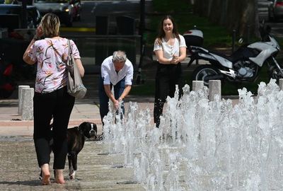 Alerta en Europa por ola de calor