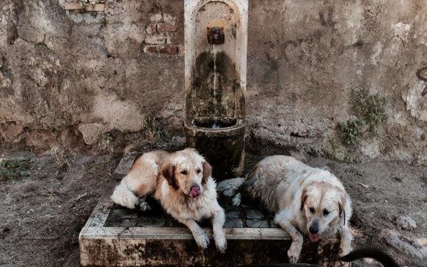 Alerta en Europa por ola de calor - Internacionales - ABC Color