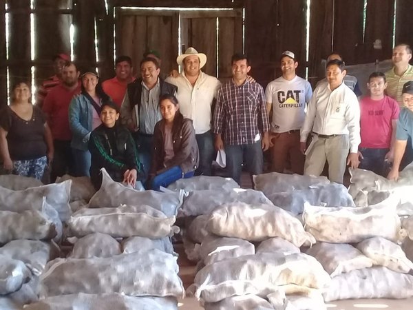 GOBERNACIÓN DE ITAPÚA ENTREGA SEMILLAS DE PAPA A COMITÉS DE PRODUCTORES