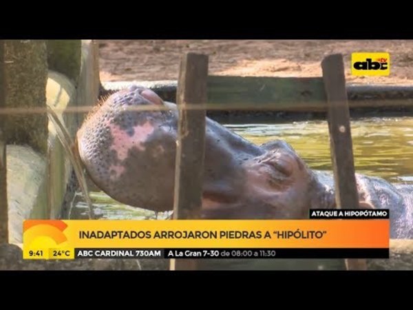 Inadaptados arrojaron piedras a Hipólito - Tv - ABC Color