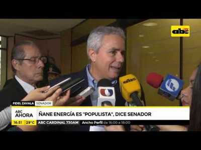 Ñane energía es populista, dice senador - Tv - ABC Color