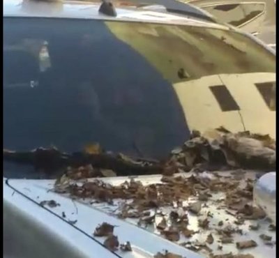 CDE: Que me denuncie Zacarías, él fue quien expuso a sus hijas al peligro - 730am - ABC Color