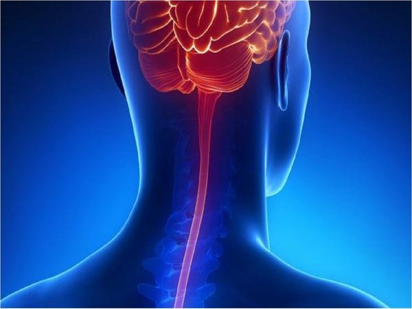 Mal tratamiento de meningitis puede llevar a la muerte en 24 horas