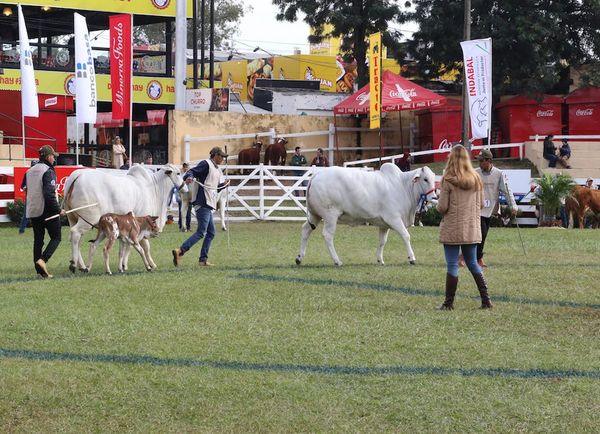 Hay mayor inscripción de animales para la Expo
