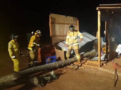 Árbol cae sobre techo y lesiona a una mujer - Nacionales - ABC Color