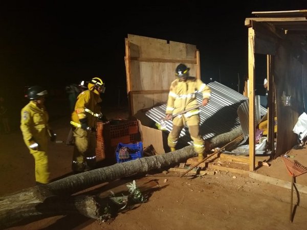 Árbol cae sobre techo y lesiona a una mujer - Nacionales - ABC Color