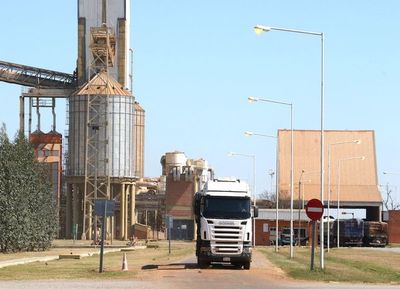 Molienda de oleaginosas registró una retracción del 7,5% a mayo