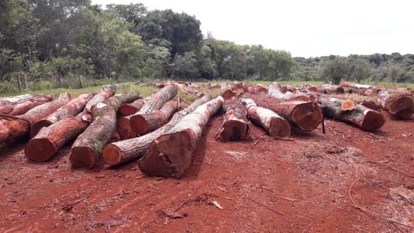 Gobierno obvia crimen ecológico para anunciar que cementera italiana tiene vía libre