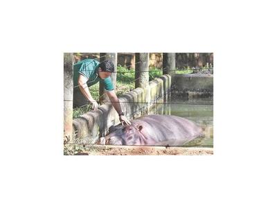 Zoo: Cámaras y sensibilización ante violencia hacia animales