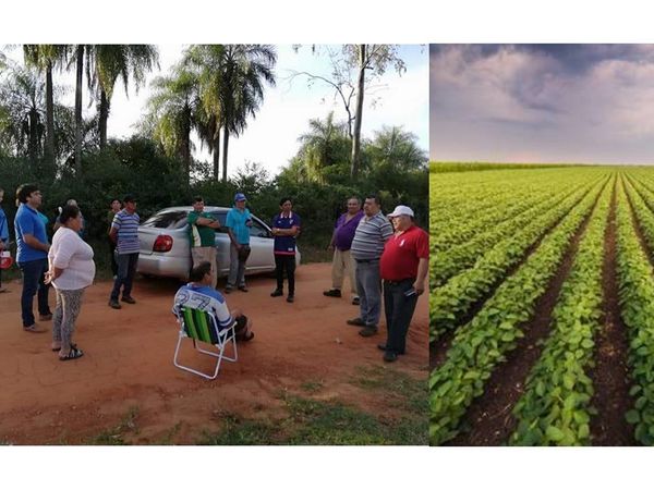 San Juan Bautista: Vecinos se oponen a la plantación de soja - Digital Misiones