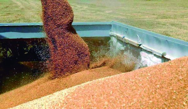 Industrialización con tendencia a la baja