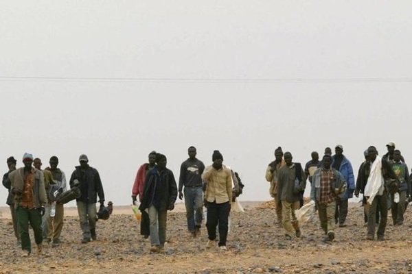 ONU ha rescatado a unos 20.000 migrantes abandonados en el desierto del Sahel | .::Agencia IP::.
