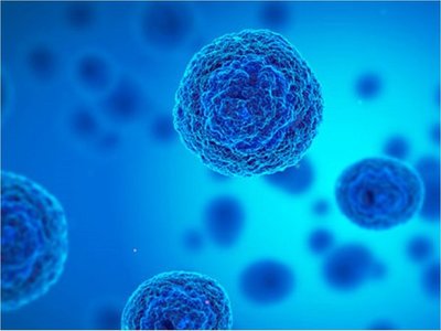 Células madre tienen un mecanismo de defensa contra bacteria
