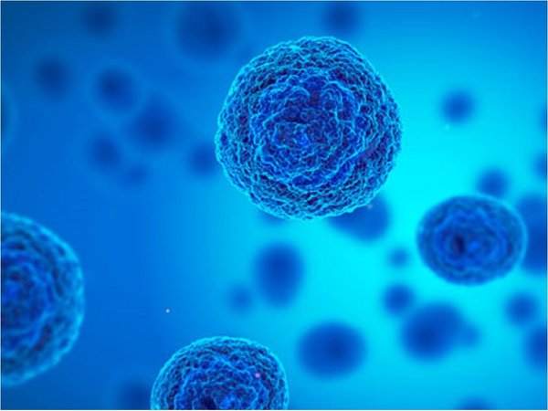 Células madre tienen un mecanismo de defensa contra bacteria