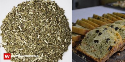 ENCARNACIÓN: ANUNCIAN TALLER DE GASTRONOMÍA EN BASE A YERBA MATE