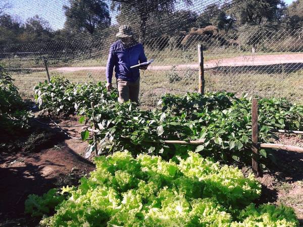 Impulsan fortalecimiento de huertas familiares y escolares en Pilcomayo