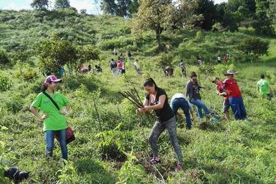 Plantatón: más de 1.000 árboles para reforestar Paraguarí