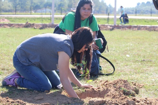 Más de 1000 árboles plantados en jornada de reforestación en Paraguari » Ñanduti