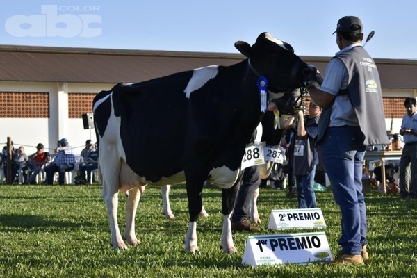 Grandes campeonas de la Expo Cooprolanda 2019 - Edicion Impresa - ABC Color