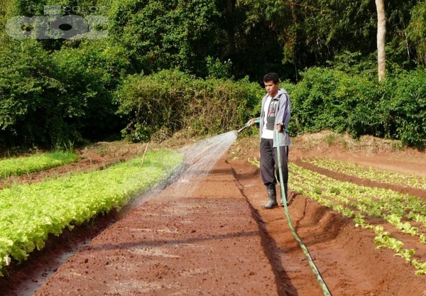 Desarrollo sustentable de la producción agropecuaria - Dr. Óscar Tami Vasconsellos (*) - Edicion Impresa - ABC Color