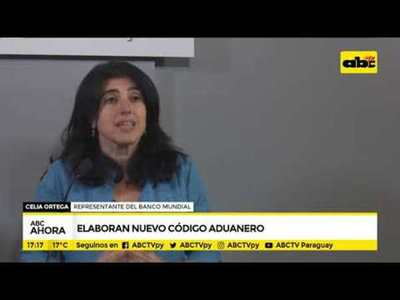 Elaboran nuevo Código Aduanero - Tv - ABC Color