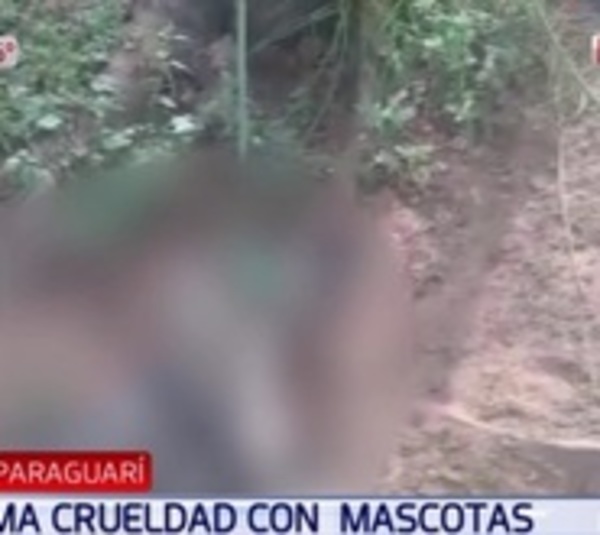 Cuelga cadáver de perro fuera de su casa - Paraguay.com