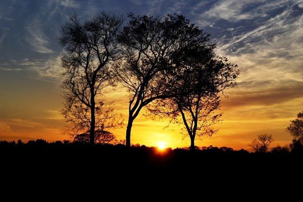 Meteorología anuncia jornada de fría a fresca - Digital Misiones