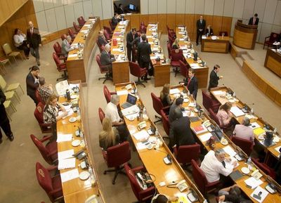 Sesión del Senado queda sin quórum en pleno tratamiento de Ñane Energía