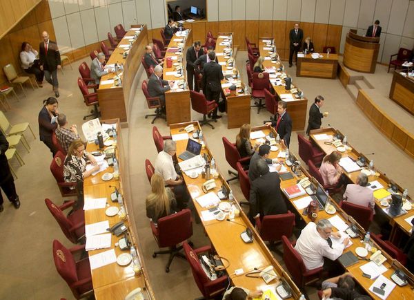 Sesión del Senado queda sin quórum en pleno tratamiento de Ñane Energía