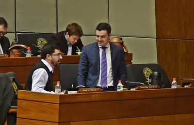 Diputado García: Modificación de ley de Informconf vende falsas expectativas » Ñanduti