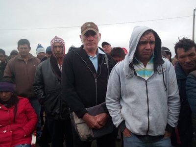 MAG pagará G. 1.500.000 por ha. a productores de mandioca