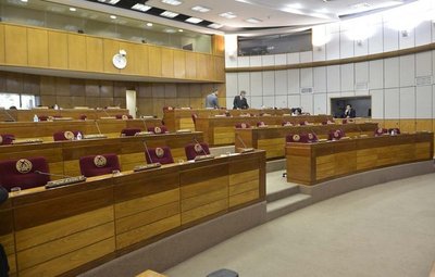 Senadores deja sin cuórum sesión al momento de tratar proyecto Ñane Energía